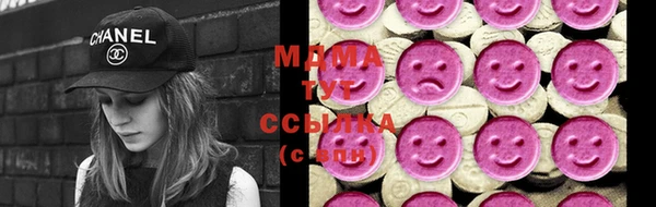 СК Алексин