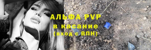 СК Алексин