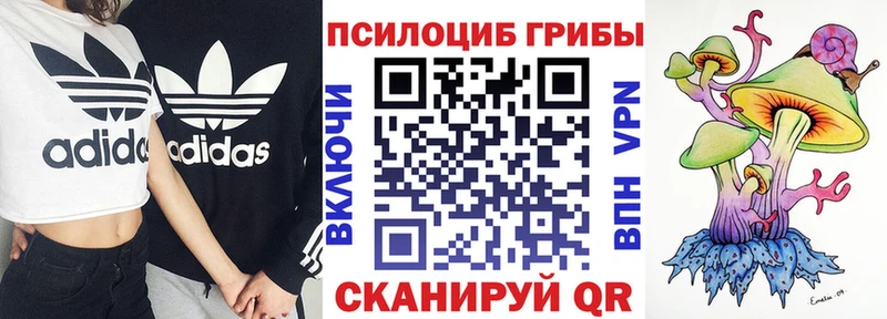 Псилоцибиновые грибы ЛСД Ейск