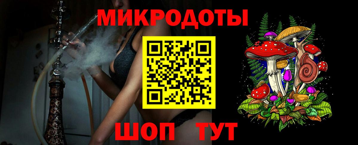 Псилоцибиновые грибы Psilocybe Ейск