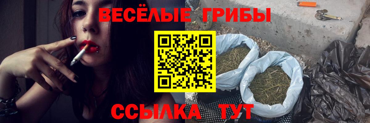 Галлюциногенные грибы Cubensis  Вход с VPN  Ейск 